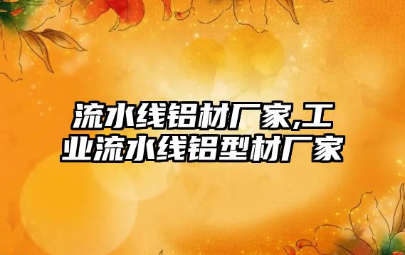 流水線(xiàn)鋁材廠家,工業(yè)流水線(xiàn)鋁型材廠家