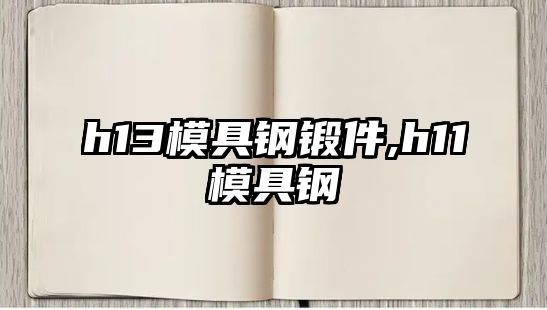 h13模具鋼鍛件,h11模具鋼