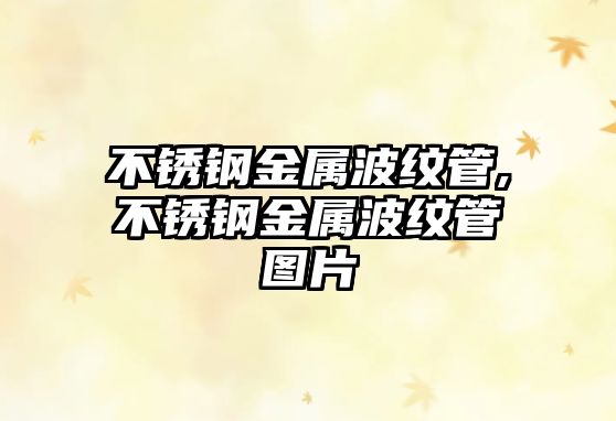 不銹鋼金屬波紋管,不銹鋼金屬波紋管圖片