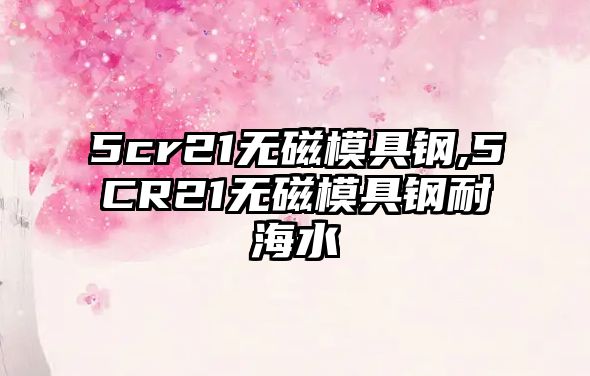 5cr21無磁模具鋼,5CR21無磁模具鋼耐海水