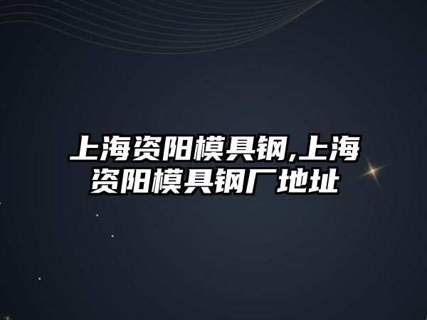 上海資陽模具鋼,上海資陽模具鋼廠地址