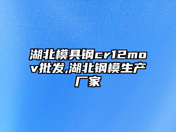 湖北模具鋼cr12mov批發(fā),湖北鋼模生產(chǎn)廠家
