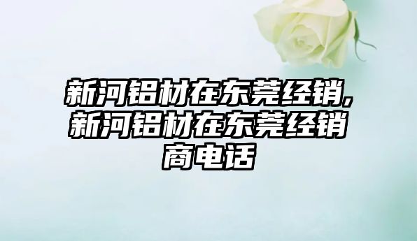 新河鋁材在東莞經(jīng)銷,新河鋁材在東莞經(jīng)銷商電話