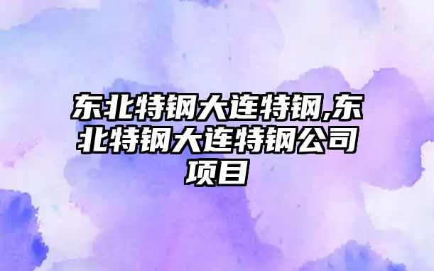 東北特鋼大連特鋼,東北特鋼大連特鋼公司項目
