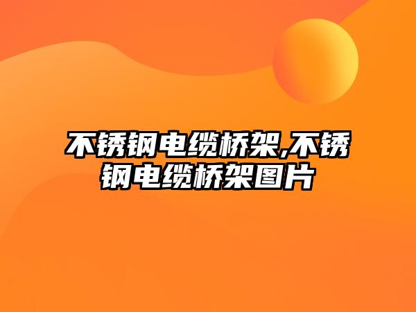 不銹鋼電纜橋架,不銹鋼電纜橋架圖片