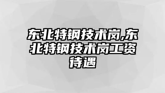 東北特鋼技術崗,東北特鋼技術崗工資待遇