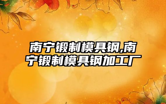 南寧鍛制模具鋼,南寧鍛制模具鋼加工廠