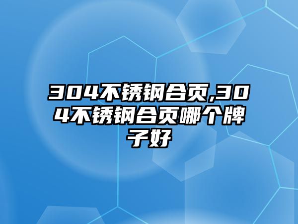 304不銹鋼合頁,304不銹鋼合頁哪個牌子好