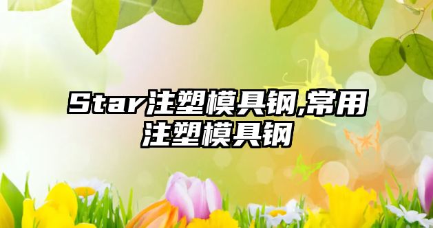 Star注塑模具鋼,常用注塑模具鋼