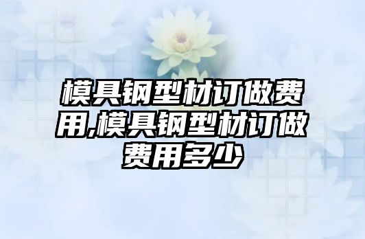 模具鋼型材訂做費(fèi)用,模具鋼型材訂做費(fèi)用多少