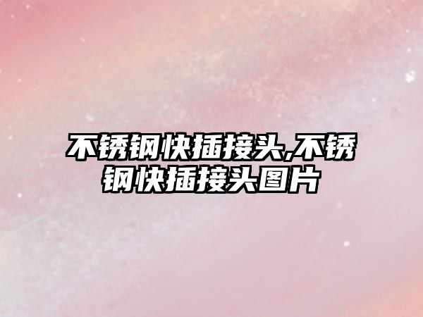 不銹鋼快插接頭,不銹鋼快插接頭圖片